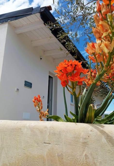 Ferienwohnung Mama Relax 2 A Un Passo Dal Mare Con Piscina Cursi Exterior foto