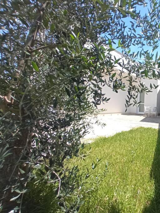 Ferienwohnung Mama Relax 2 A Un Passo Dal Mare Con Piscina Cursi Exterior foto